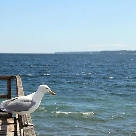 Hafensuite Lägenhet Eckernförde