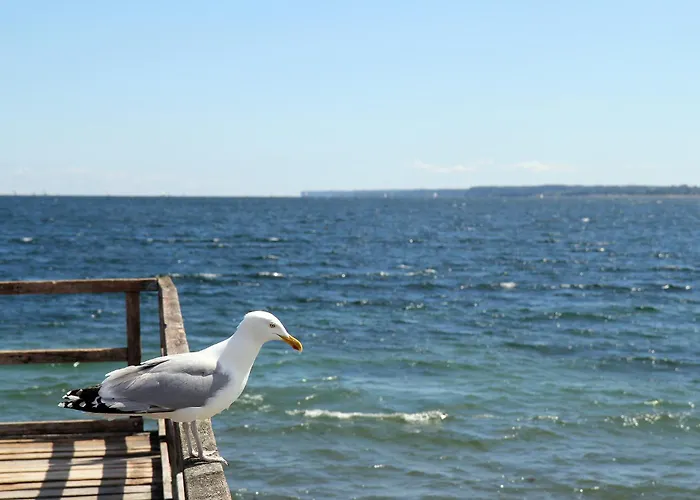 Hafensuite Lejlighed Eckernförde